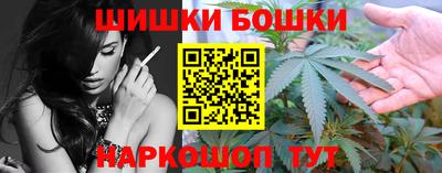 прущие грибы Кингисепп