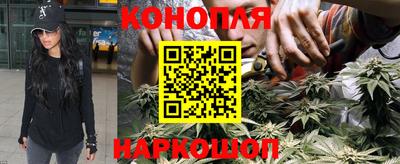 прущие грибы Кингисепп