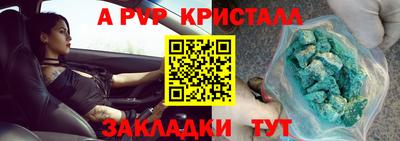 прущие грибы Кингисепп