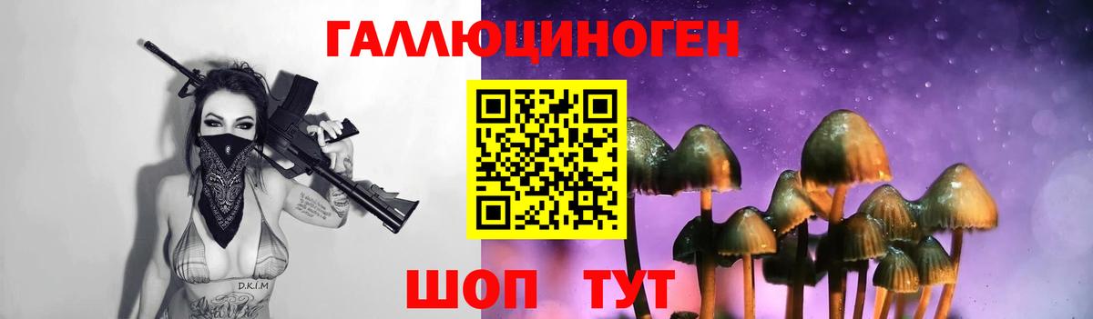 Галлюциногенные грибы прущие грибы Кострома